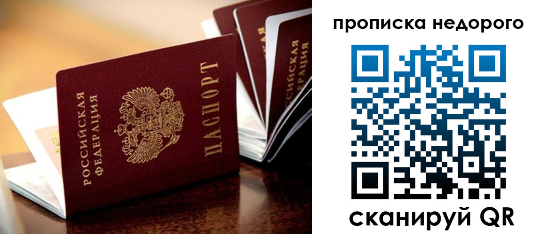 временная прописка в Новозыбкове